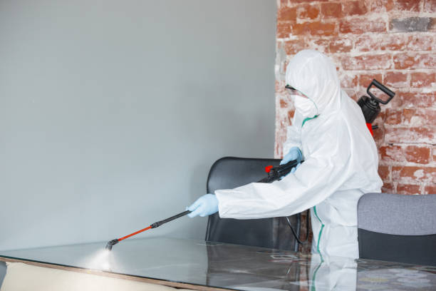 Trusted Westmorland, CA Mold Inspection Experts