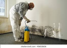 Mold Removal for HVAC Installations in Westmorland, CA